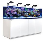 Reefer 900 Deluxe  Wit