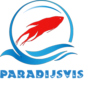 Paradijsvisshop