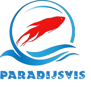 Paradijsvisshop