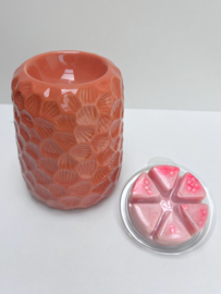 brander  Honey/terra