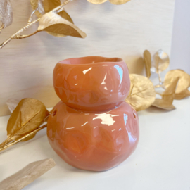 brander  Pep/terra
