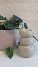 brander  Pep/beige