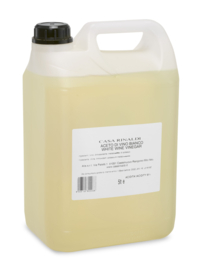 Casa Rinaldi Aceto di Vino Bianco in pet 5l (per 2 st.)