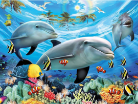 dolfijnen 50X40cm