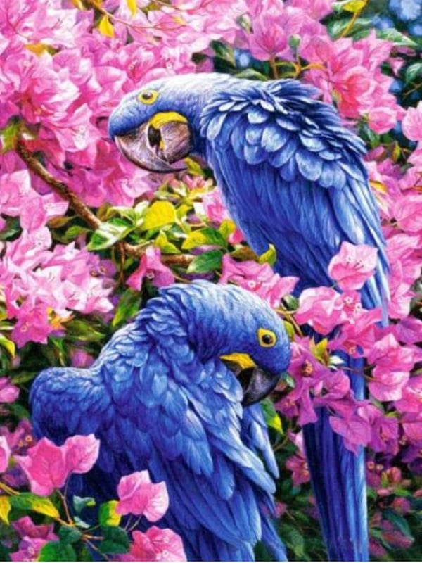 papegaaien met bloemen 60x80 cm