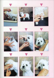 Het grote trim-, knip- en verzorgingsboek voor honden de ideale handleiding voor het trimmen van honden, geschreven en geredigeerd door internationale trimmers , Eileen Geeson