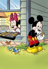 Mickey Lost t op - Vakantieboek 2018 Sanoma Media