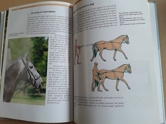 Werk Aan De Hand Wegen naar ontspanning en verzameling - Longeren en werken aan de lange teugel., Richard Hinrichs