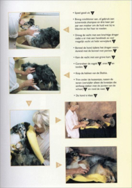 Het grote trim-, knip- en verzorgingsboek voor honden de ideale handleiding voor het trimmen van honden, geschreven en geredigeerd door internationale trimmers , Eileen Geeson