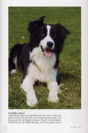 Border collie , Esther Verhoef