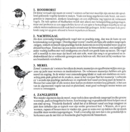 Vogelzang In Nederland En België , Vogels In Nederland En Belgie