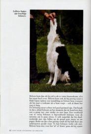 Border collie , Esther Verhoef