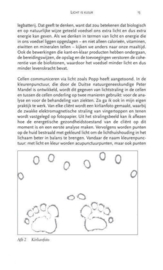 De verborgen kracht van licht en kleur sleutel tot een gezond en harmonieus leven, Praveeta Timmerman