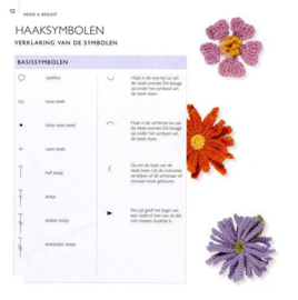 100 Bloemen Om Te Haken En Te Breien Een Complete Gids Voor Het Haken En Breien Van Verschillende Soorten Bloemen , Lesley Stanfield