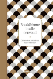 Boeddhisme in alle eenvoud ontwaak en ontdek wat nooit verandert , Steve Hagen