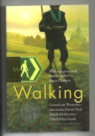 Walking in de voetsporen van Paulo Coelho, Bruce Chatwin, Virginia Woolf, Werner Herzog, Jon Krakauer, Reinold Messner, Thich Nhat Hanh ,  Paulo Coelho