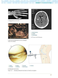 Anatomie en Fysiologie niveau 4 , ThiemeMeulenhof bv