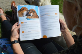 Puppy Opvoeden 3 - Het ultieme Puppy Bijten afleren handboek Concrete tips & adviezen van 7 hondenexperts, Robbin Kleinpenning