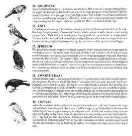 Vogelzang In Nederland En België , Vogels In Nederland En Belgie