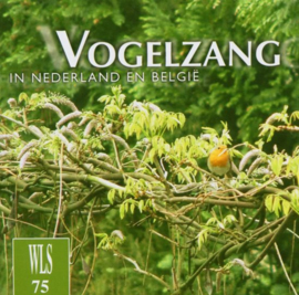 Vogelzang In Nederland En België , Vogels In Nederland En Belgie