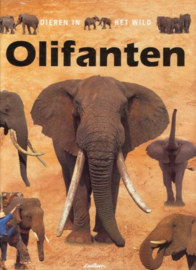 Dieren in het wild - Olifanten , B. Taylor