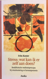 Stress: Wat Kan Ik Er Zelf Aan Doen? boeddhistische meditatieprincipes bij stresshantering en burnoutpreventie ,  Frits Koster
