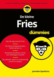 Voor Dummies - De kleine Fries voor dummies, Janneke Spoelstra