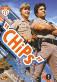 CHIPS - Seizoen 1, Robert Pine