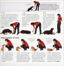 Het Zit Af Hier Voet Blijf en Sta Boek Grondbeginselen Van Honden En Puppytraining , C. Arrowsmith