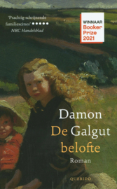 De belofte , Damon Galgut