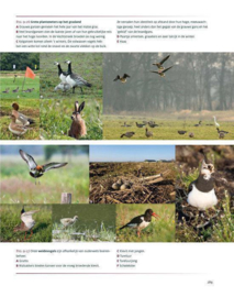 Natuur & landschap van de Vechtstreek Een eerbetoon aan het Utrechtse vechtlandschap , Wim Weijs