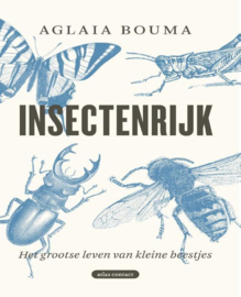 Insectenrijk Het grootse leven van kleine beestjes , Aglaia Bouma