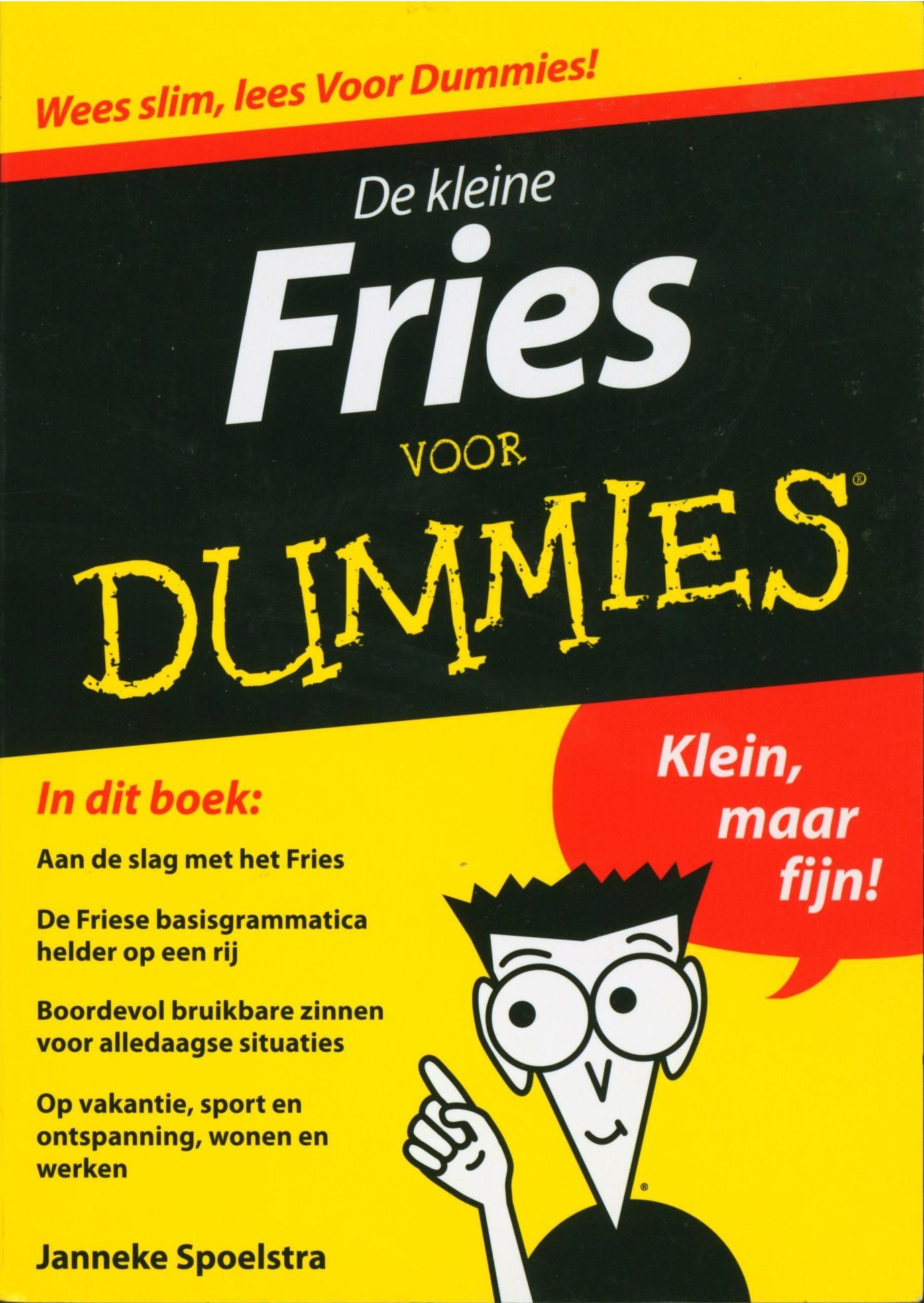 Voor Dummies - De kleine Fries voor dummies ,  Janneke Spoelstra Serie: Voor Dummies