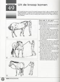 101 horsemanship oefeningen ideeen om het werk vanaf de grond en in het zadel te verbeteren, R. Barret