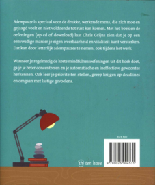 Adempauze mindful aan het werk , Chris Grijns