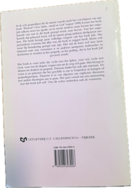 Rechtvaardiger dan god, A. van de Beek