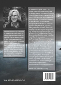 De vervlogen droom piloot: held of huurling ,  Nienke Groenendijk-Feenstra
