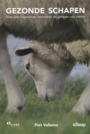 Gezonde schapen alles over voorkomen, herkennen en genezen van ziektes , Piet Vellema