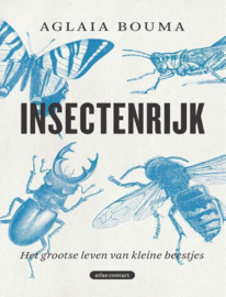 Insectenrijk Het grootse leven van kleine beestjes , Aglaia Bouma