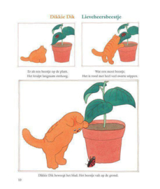 Elfjes, pony's en prinsessen het grote voorleesboek voor kleine meisjes , Nannie Kuiper