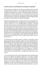 De verborgen kracht van licht en kleur sleutel tot een gezond en harmonieus leven, Praveeta Timmerman