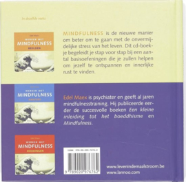 Werken met mindfulness Basisoefeningen basisoefeningen & werken met mindfulness ,  Edel Maex