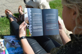 Puppy Opvoeden 3 - Het ultieme Puppy Bijten afleren handboek Concrete tips & adviezen van 7 hondenexperts, Robbin Kleinpenning