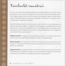 Mantra'S En Moedra'S meditaties met hand en stem voor innerlijke rust en vrede , Lillian Too