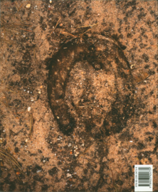 FESTUS 2011-I , Alfred C. Bronswijk