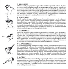 Vogelzang In Nederland En België , Vogels In Nederland En Belgie