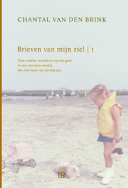 Brieven van mijn ziel 1993-1999 over wakker worden en op reis gaan in een wondere wereld, die mijn leven op zijn kop zet , Chantal van den Brink