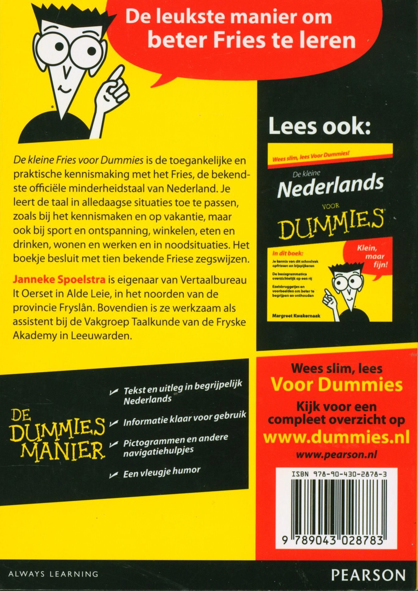 Voor Dummies - De kleine Fries voor dummies ,  Janneke Spoelstra Serie: Voor Dummies