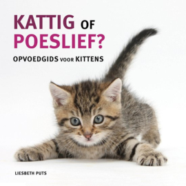 Kattig of poeslief Opvoedgids voor kittens, Liesbeth Puts