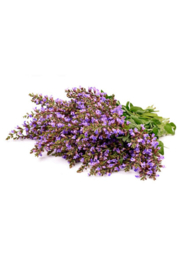 doTERRA Clary Sage (Scharlei) | 15ml | Etherische olie|